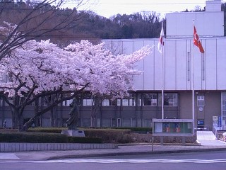 f0042008_2032276.jpg