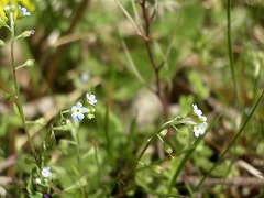 c0190010_20294488.jpg