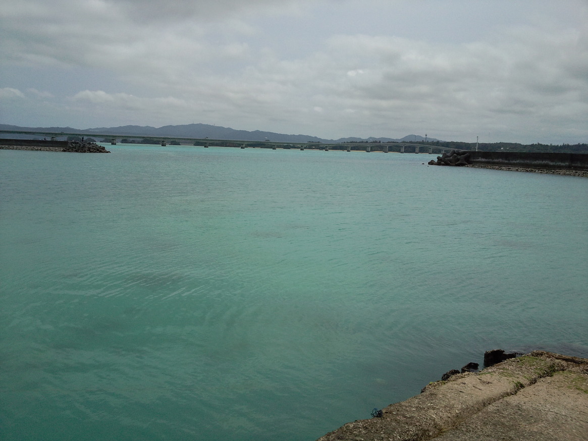 c0209312_14362273.jpg