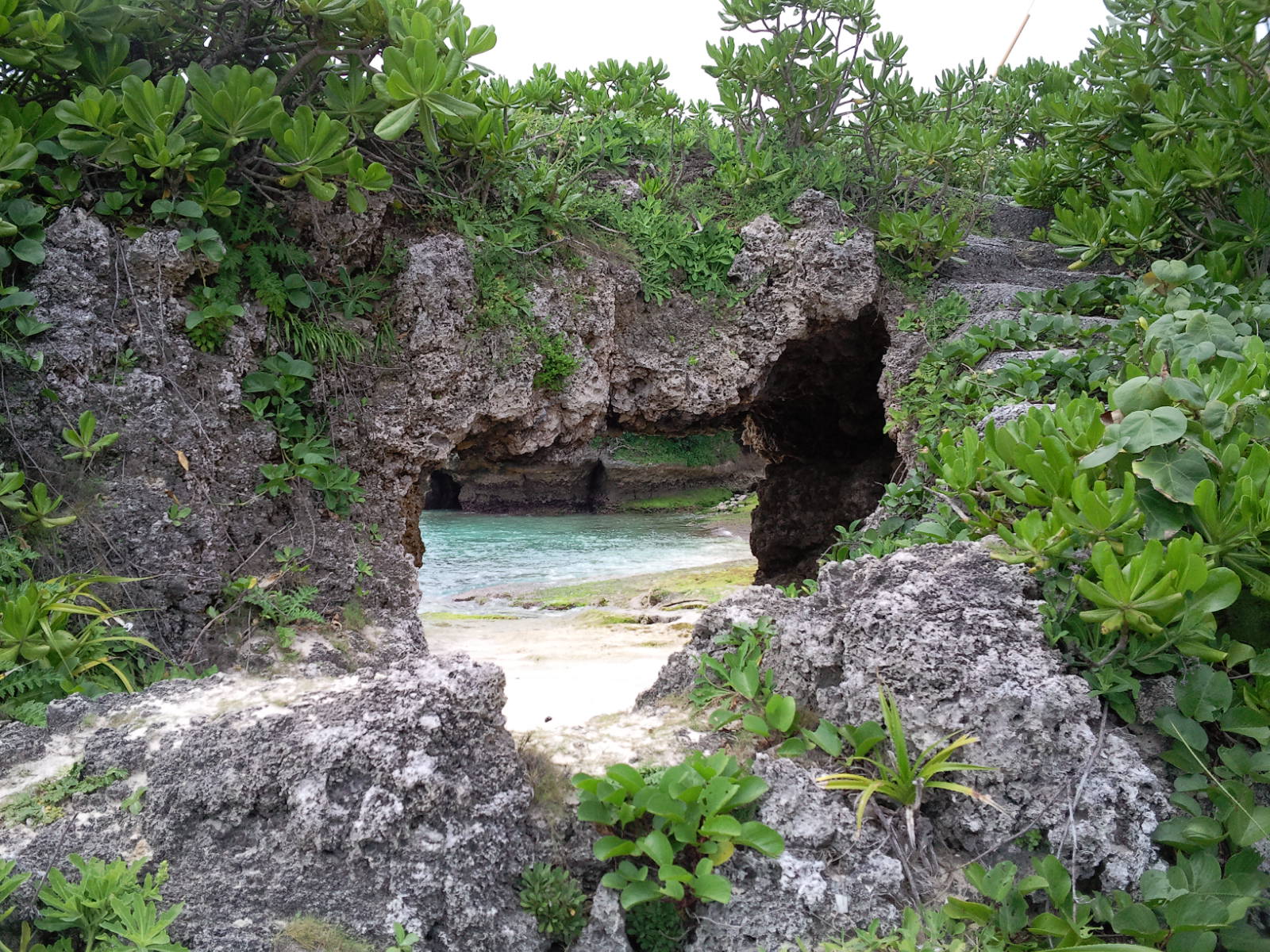 c0209312_14445287.jpg