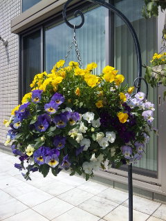 c0201113_2110446.jpg