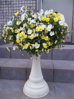 c0201113_21115033.jpg