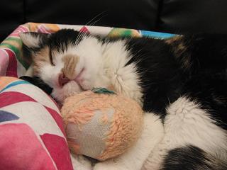 c0201113_21775.jpg