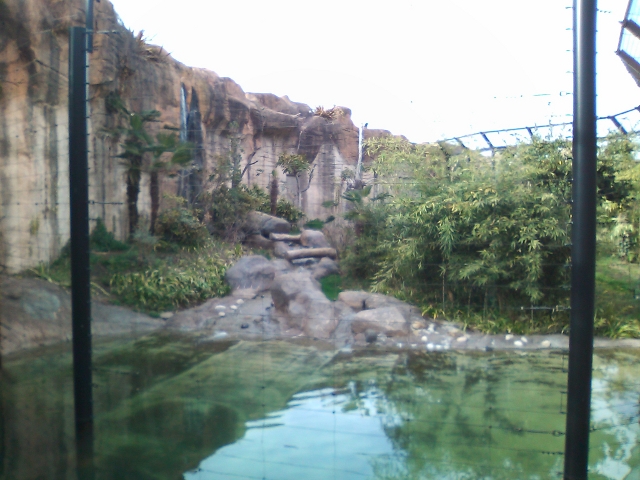 d0109213_1172755.jpg