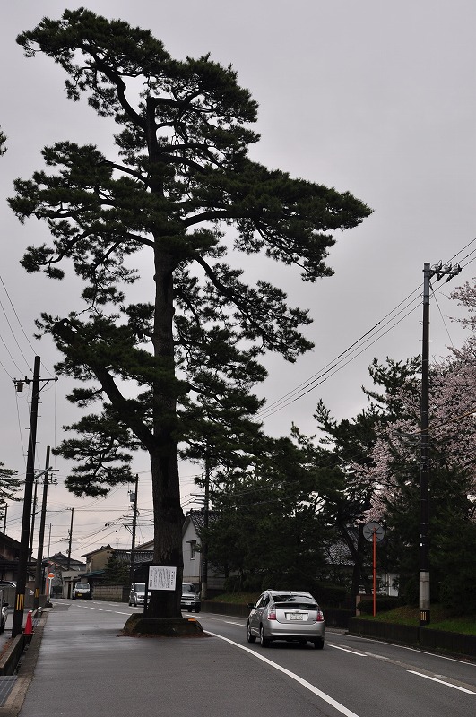 f0213613_20142710.jpg