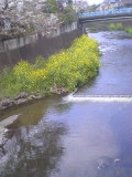 e0112619_1051121.jpg