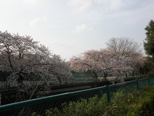 e0127622_19573954.jpg