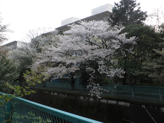 e0127622_19582053.jpg