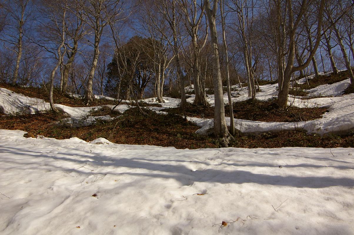 b0062024_652818.jpg