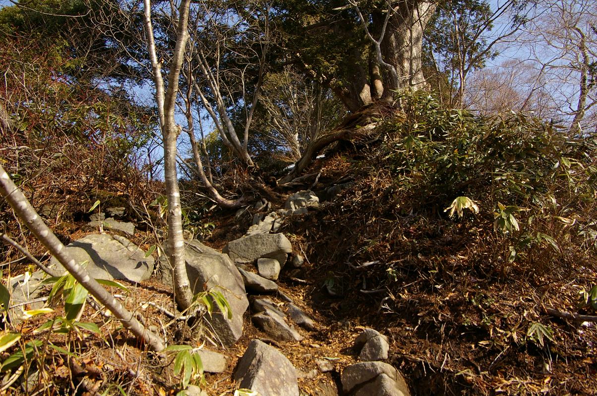b0062024_6531482.jpg