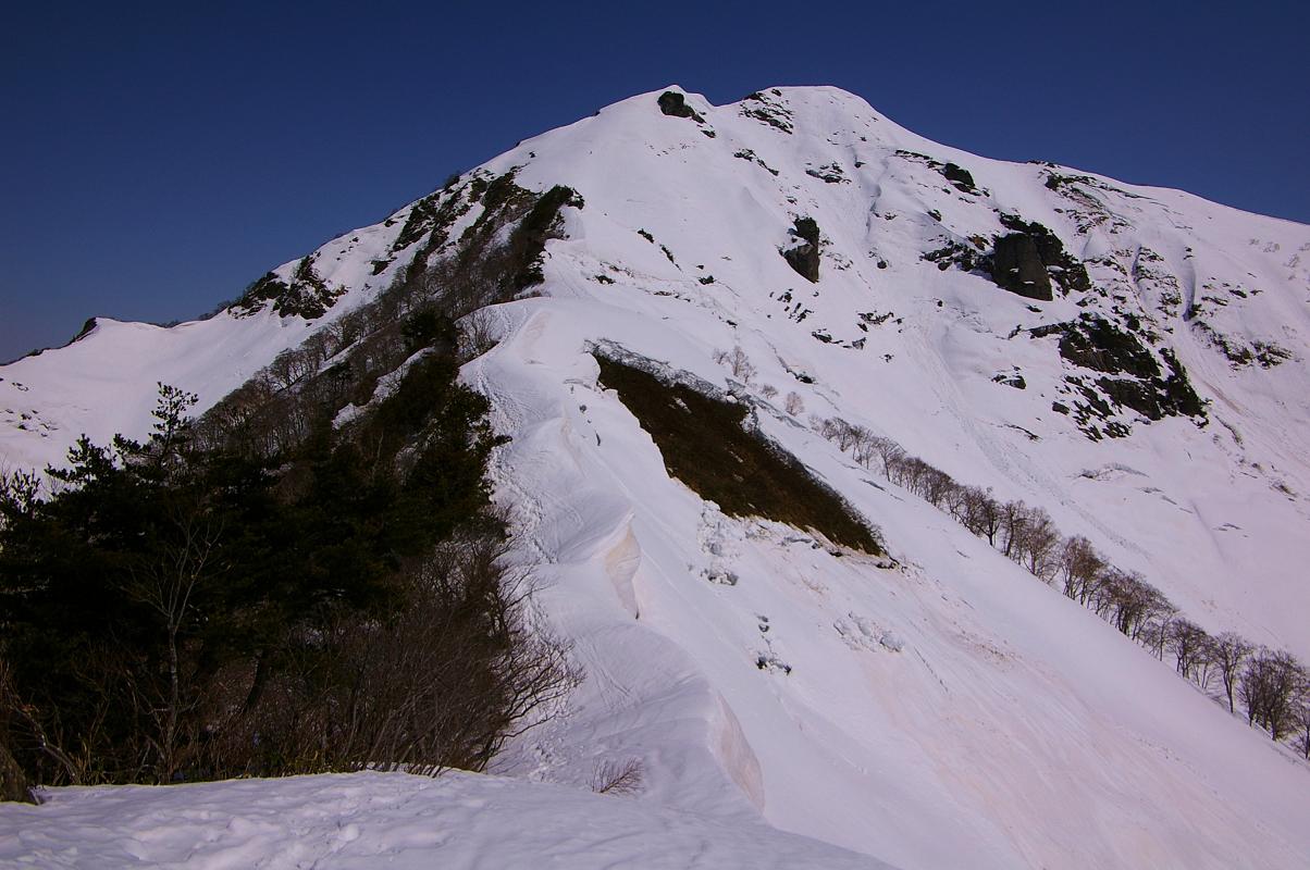 b0062024_734662.jpg