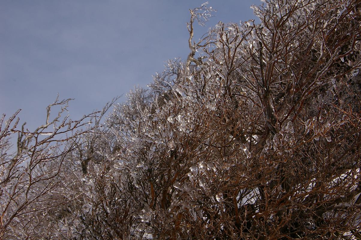 b0062024_775089.jpg