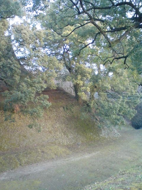f0065927_21175772.jpg