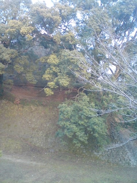 f0065927_21194466.jpg