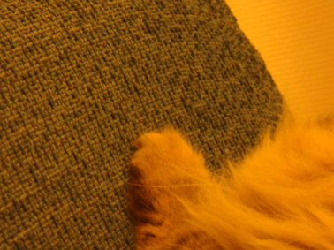 e0157129_1750451.jpg