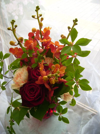 c0103830_11375276.jpg