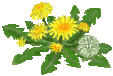 c0123031_4344276.gif