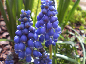 f0204440_10322653.jpg