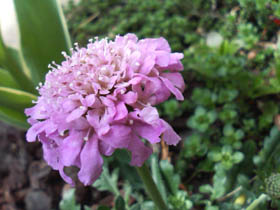 f0204440_10372299.jpg