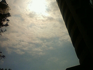 f0179947_0243763.jpg