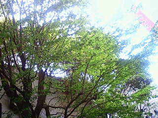 f0179947_0245120.jpg