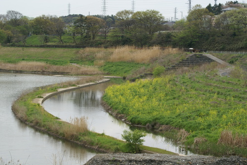 a0046748_8584229.jpg