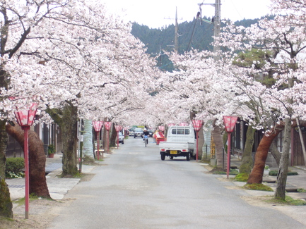 b0174451_817232.jpg