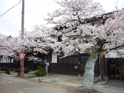 b0174451_8191033.jpg