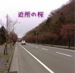 d0139352_0271971.jpg