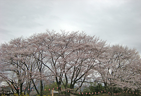 a0001354_19422669.jpg