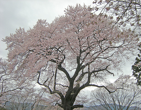 a0001354_1944257.jpg