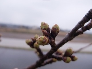 c0208355_18582193.jpg