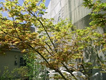 c0186463_16481451.jpg