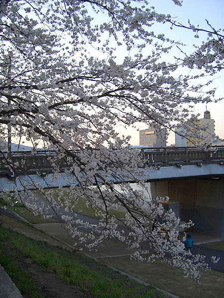 a0135367_21255698.jpg