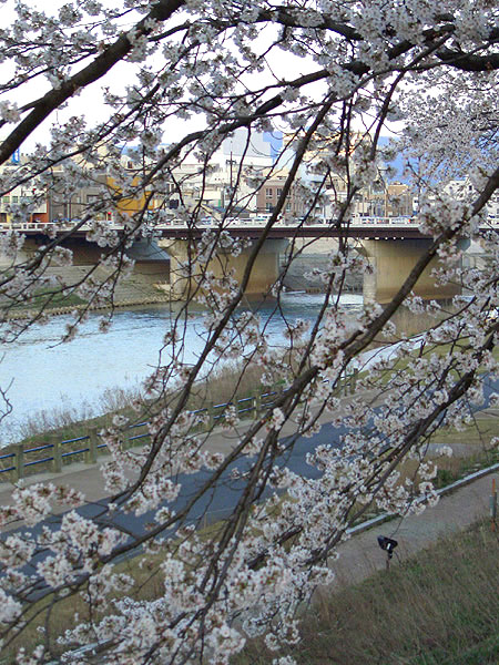 a0135367_21283756.jpg