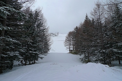 f0182173_1831107.jpg