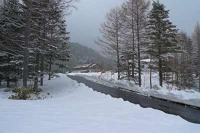 f0182173_18313100.jpg