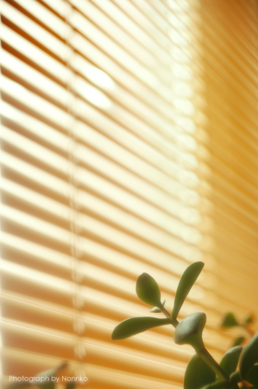 c0106977_1433632.jpg
