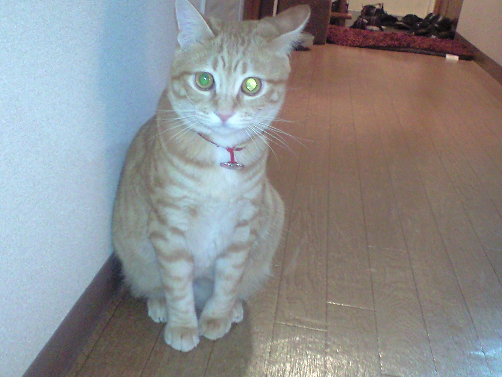 a0152078_2235299.jpg
