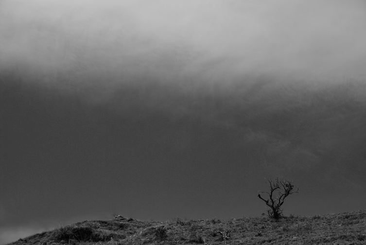 c0150986_0194342.jpg