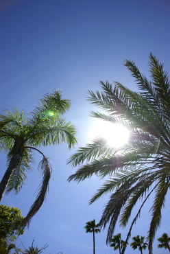 c0150986_0245426.jpg