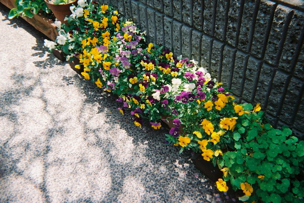 c0132387_23104274.jpg