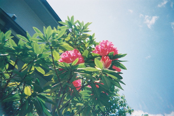 c0132387_23105860.jpg