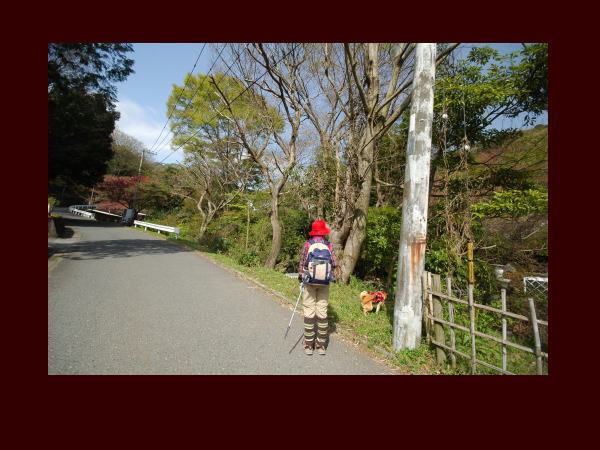 d0064387_9165877.jpg