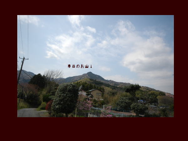 d0064387_9422234.jpg