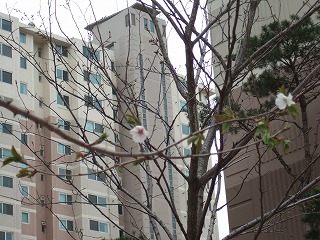 a0079990_12114954.jpg