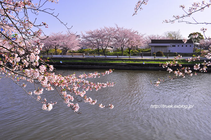 b0186790_039309.jpg