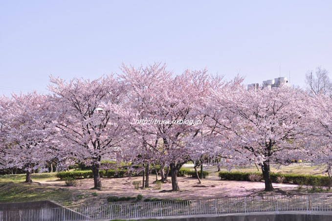 b0186790_0411135.jpg