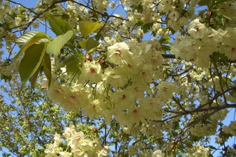 f0234892_21461193.jpg