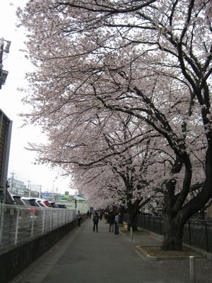 f0201297_21552886.jpg